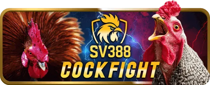 Trải nghiệm cá cược đỉnh cao J88VIP2